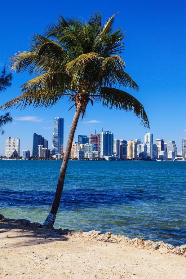 Enchanting Cozy Apartment 10 Min Away From Airport, Calle 8, Brickell, Coral Gables, The Beach And More! Miami Zewnętrze zdjęcie