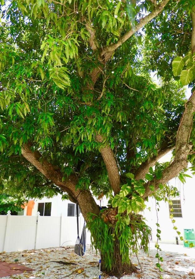 Enchanting Cozy Apartment 10 Min Away From Airport, Calle 8, Brickell, Coral Gables, The Beach And More! Miami Zewnętrze zdjęcie
